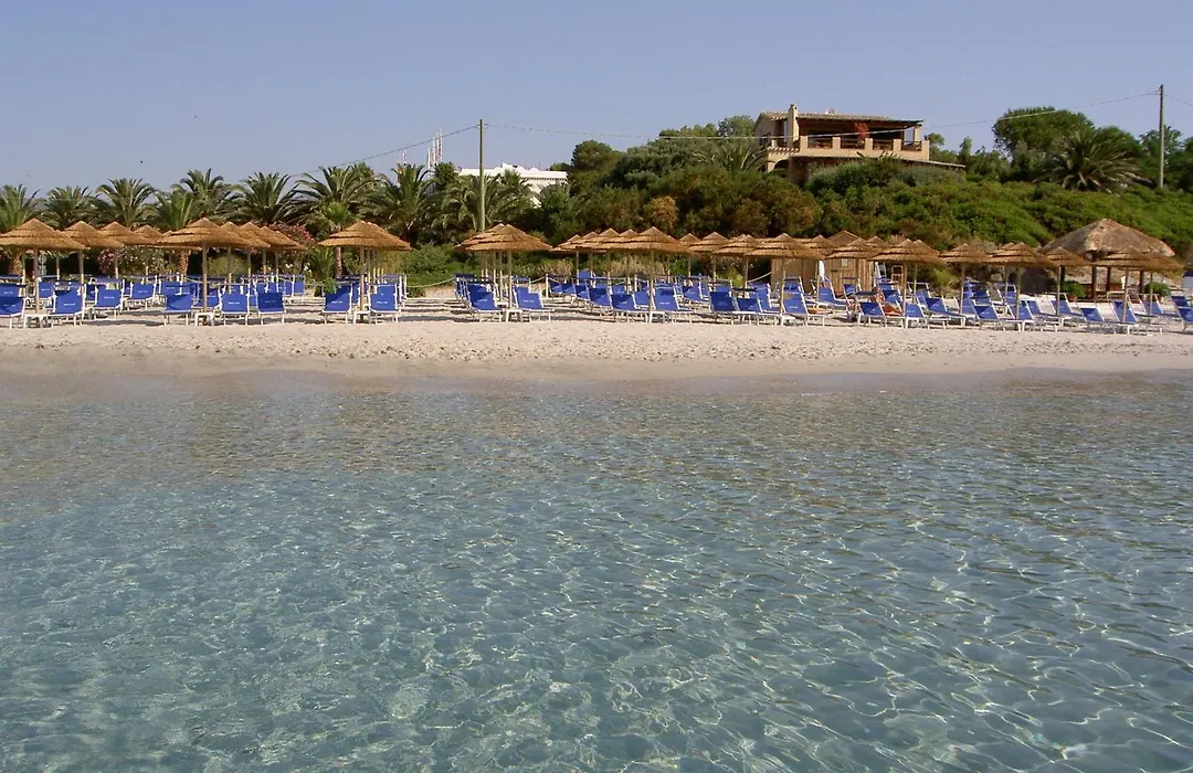 Hotel Simius Playa-1